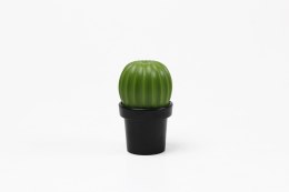 Młynek do soli lub pieprzu Tasty Cactus czarno-zielony 10252-BK-GN Qualy