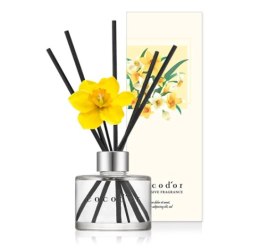 Dyfuzor zapachowy Daffodil 120ml Vanilla & Sandalwood PDI30934 Cocodor