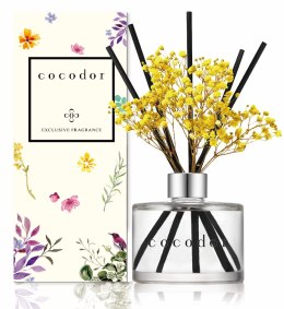 Dyfuzor zapachowy Daffodil 200 ml Vanilla & Sandalwood PDI30926 Cocodor