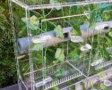 Kompletny rack system do hodowli małych gekonów