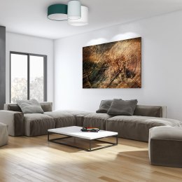 Nowa Nordic Home - Lampa sufitowa STAN zielony 3xE27