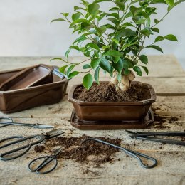 Profesjonalne Nożyce Bonsai dla Precyzyjnego Przycinania Drzewek