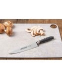 Nóż kuchenny drobnym maczkiem Kyoto